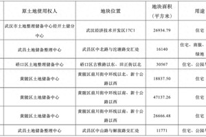 武汉挂牌7宗涉宅地块，起拍总价27亿元