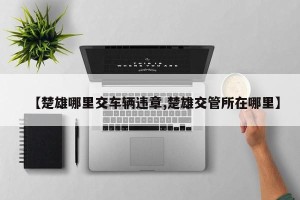 【楚雄哪里交车辆违章,楚雄交管所在哪里】