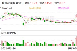 盛达资源：公司今年未开展白银套期保值业务