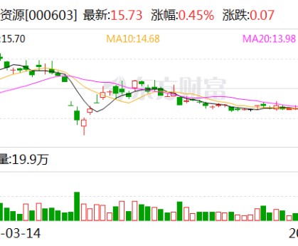 盛达资源：公司今年未开展白银套期保值业务