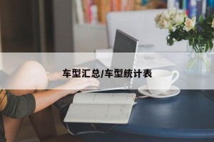 车型汇总/车型统计表