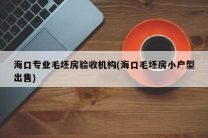 海口专业毛坯房验收机构(海口毛坯房小户型出售)