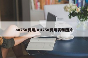 au750费用/AU750费用表和图片