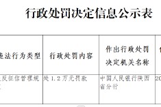 西安长安新华村镇银行因违反征信管理规定被罚1.2万元