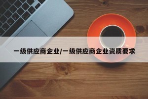 一级供应商企业/一级供应商企业资质要求