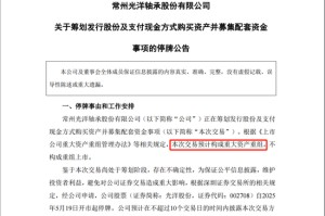 A股重大资产重组，停牌！
