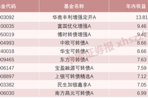 霸榜！可转债成为债基投资“锋利的矛”