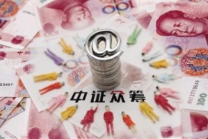 中证市场表现和投资价值是什么？这种投资价值在不同市场环境下如何变化？