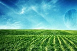 如何了解土地查封情况？土地查封的相关规定有哪些？