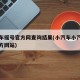 小汽车摇号官方网查询结果(小汽车小汽车摇号官方网站)
