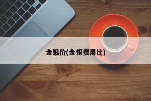 金银价(金银费用比)