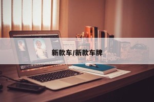 新款车/新款车牌