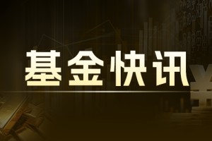 博时创业板 ETF 联接 C：净值与持仓 2025 年 4 月