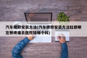 汽车牌照安装方法(汽车牌照安装方法肚脐眼左侧疼痛去医院挂哪个科)