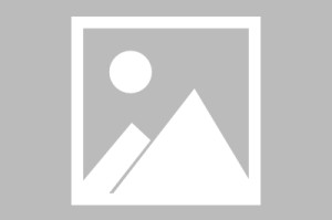 横琴口岸：五一出入境客流超 25.5 万