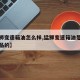 【猛狮变速箱油怎么样,猛狮变速箱油是哪个厂出品的】