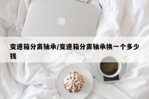 变速箱分离轴承/变速箱分离轴承换一个多少钱