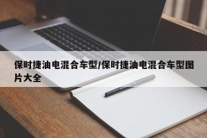 保时捷油电混合车型/保时捷油电混合车型图片大全