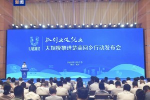 签约超1100亿元 湖北大规模推进楚商回乡